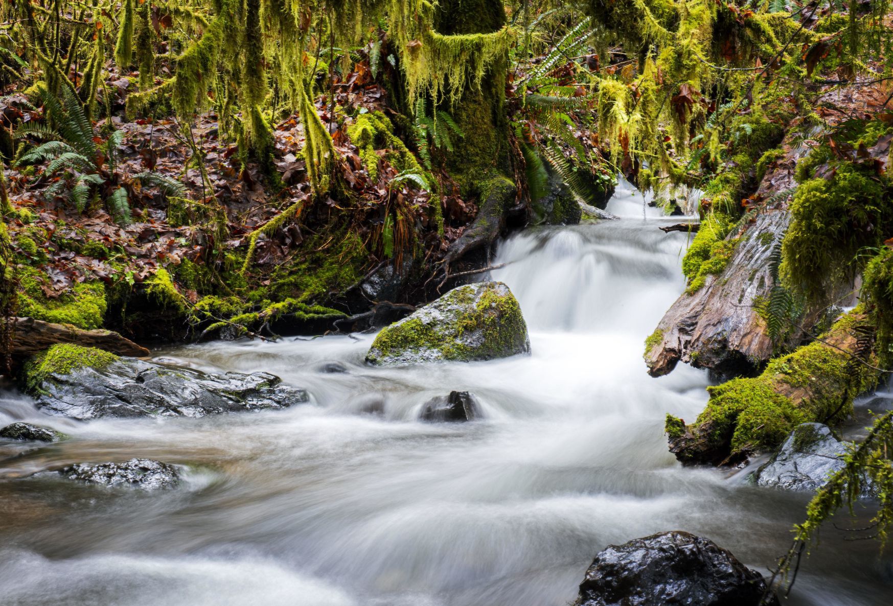 Munson Creek